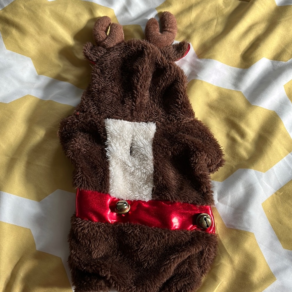 Dog Reindeer Outfit